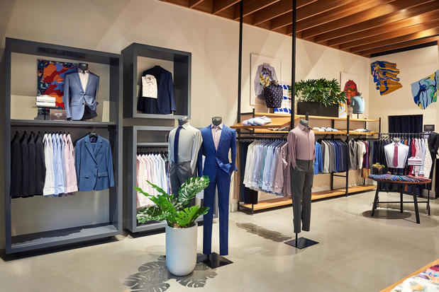 Images Bonobos