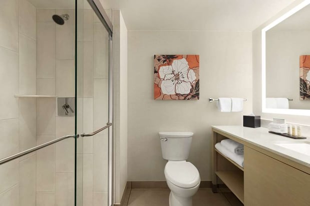 Images Embassy Suites by Hilton Denver International Airport