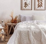 Images Eventi - Complementi D'Arredo