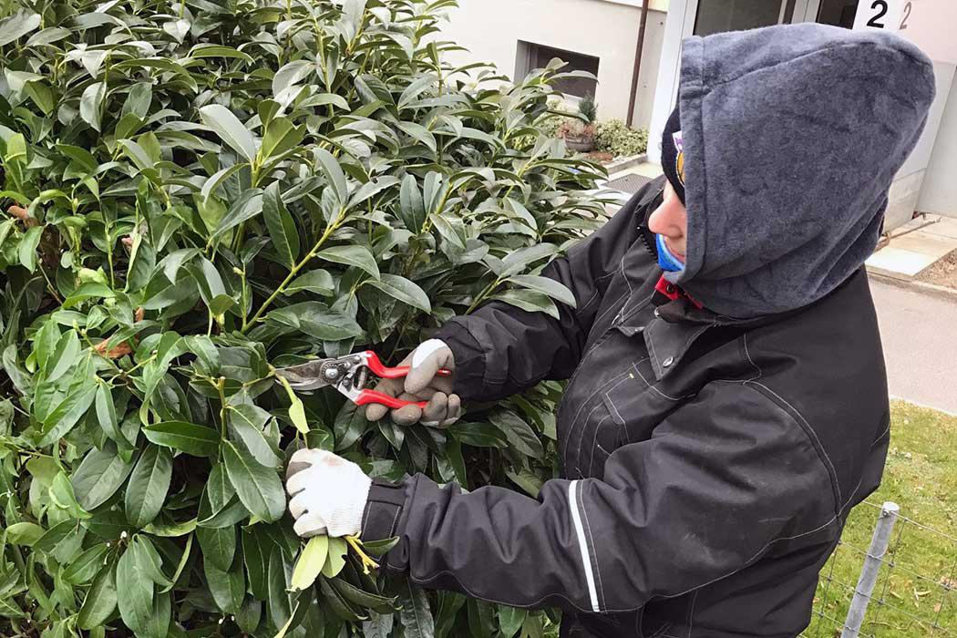 Rothenbühler Gartenbau AG, Hessweg 9 in Zollikofen