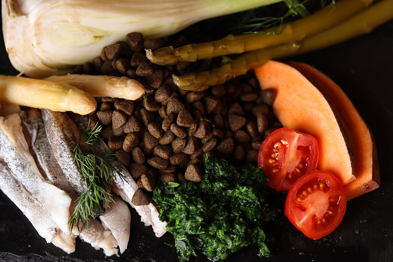 Bilder Green Pet Shop