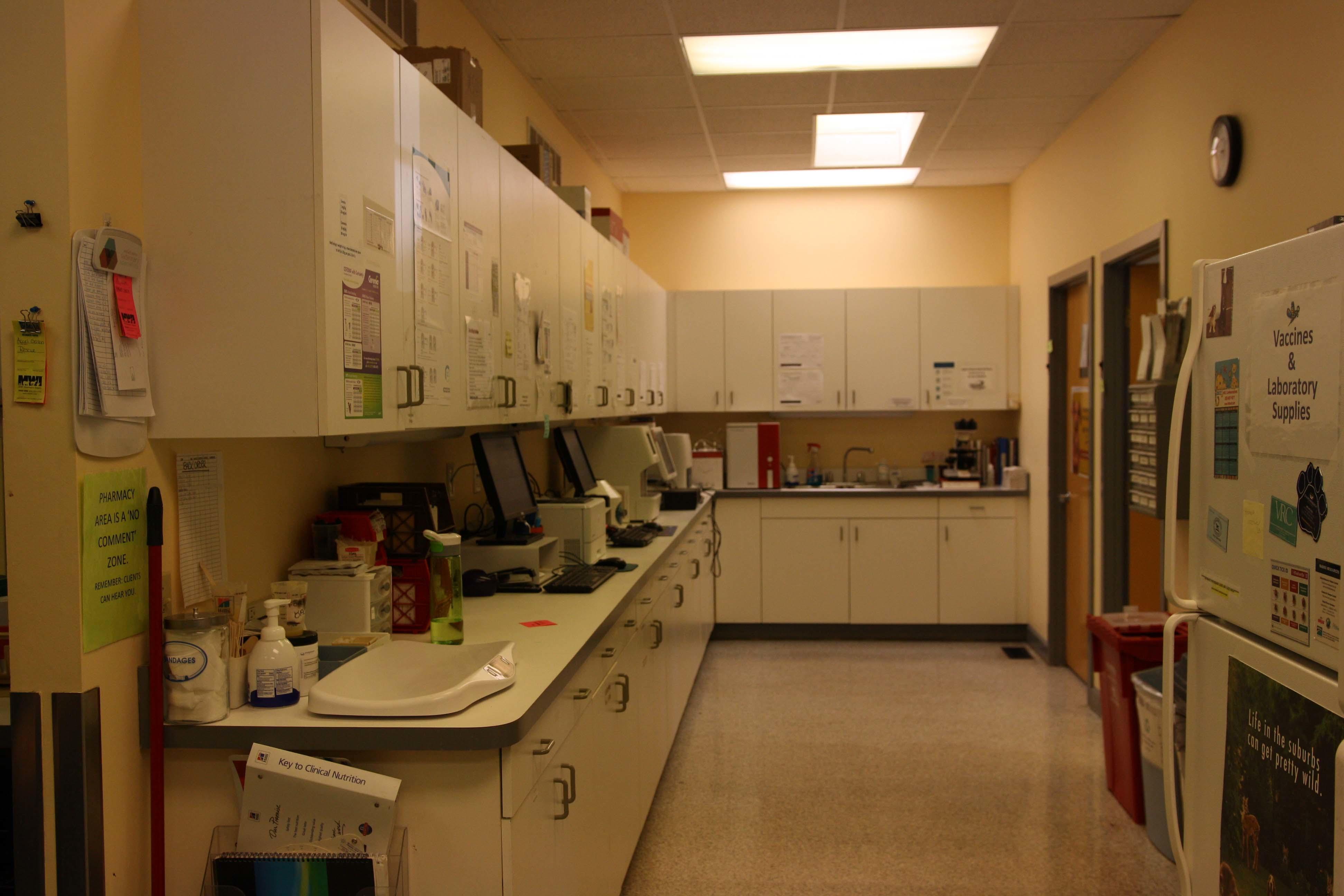 The backrooms of our clinic are always kept very clean and tidy to meet the standards of care your pet deserves.