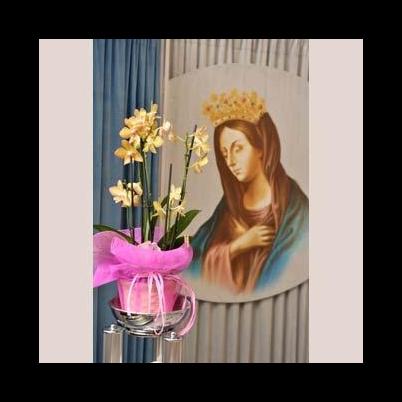 Images Onoranze Funebri Fratelli Orsini