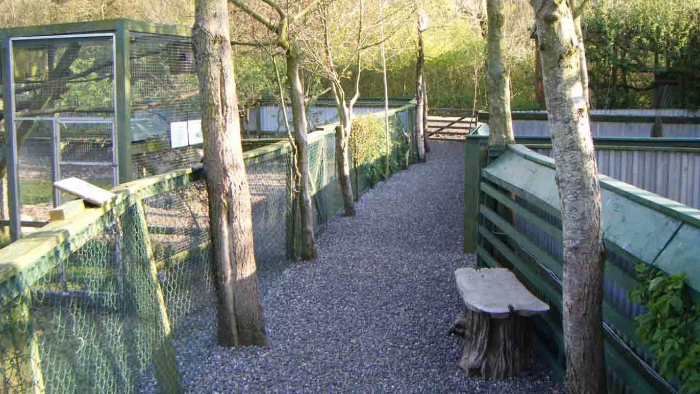 Images Fugle & Dyrehandler Arnfred M Madsen