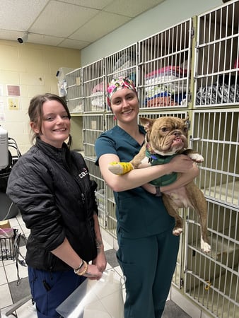 Images VCA Preston Park Animal Hospital