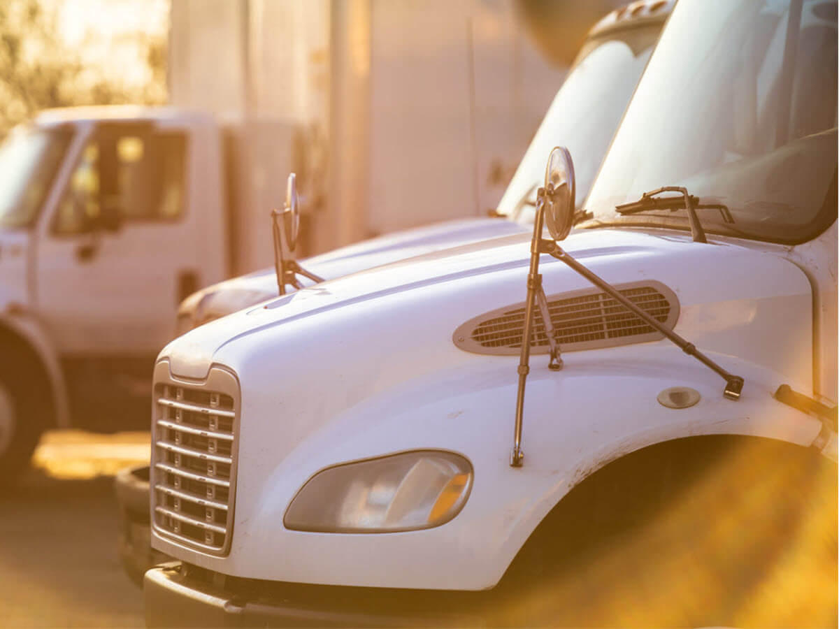 3pl transportation management
