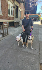 Images Downtown Brooklyn Pet Care