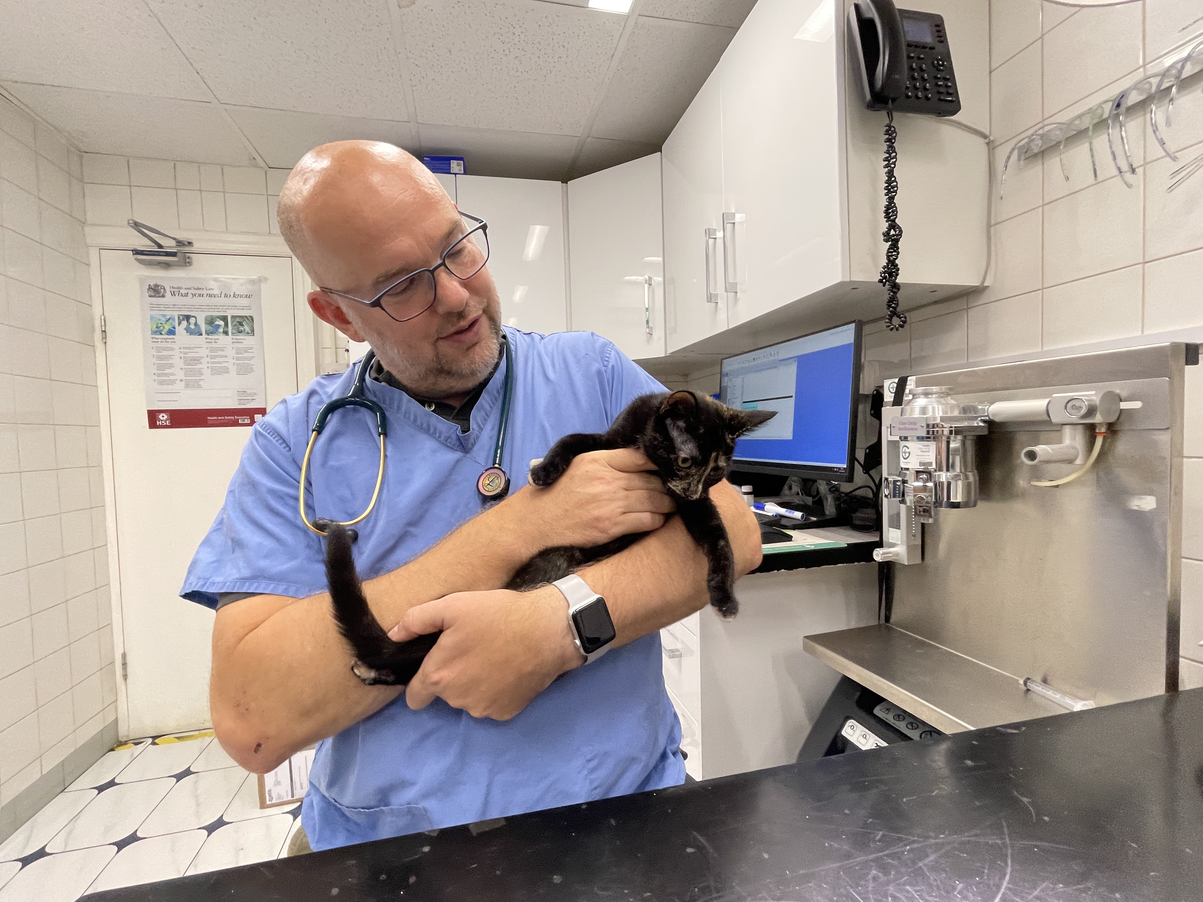 Images Streatham Hill Veterinary Surgery