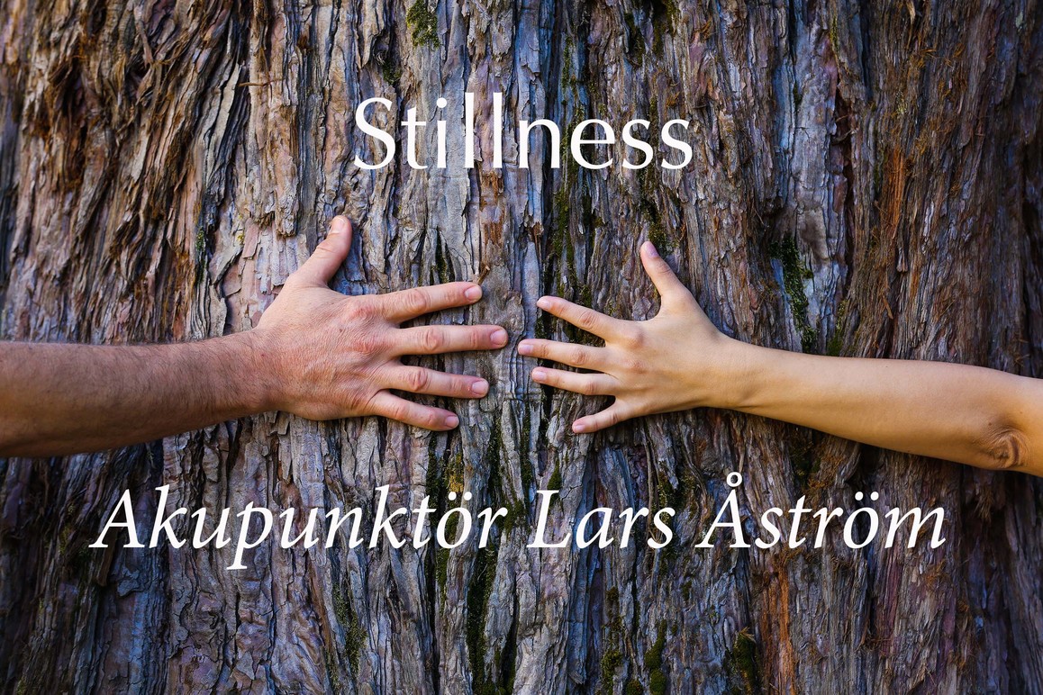 Images Akupunktör Lars Åström - Stillness