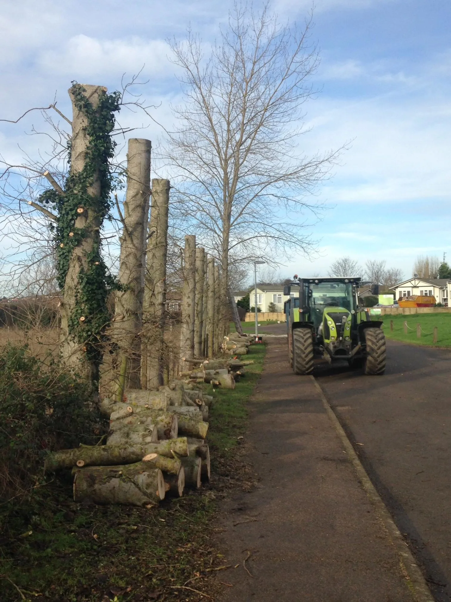 Images Ms Tree Care Ltd