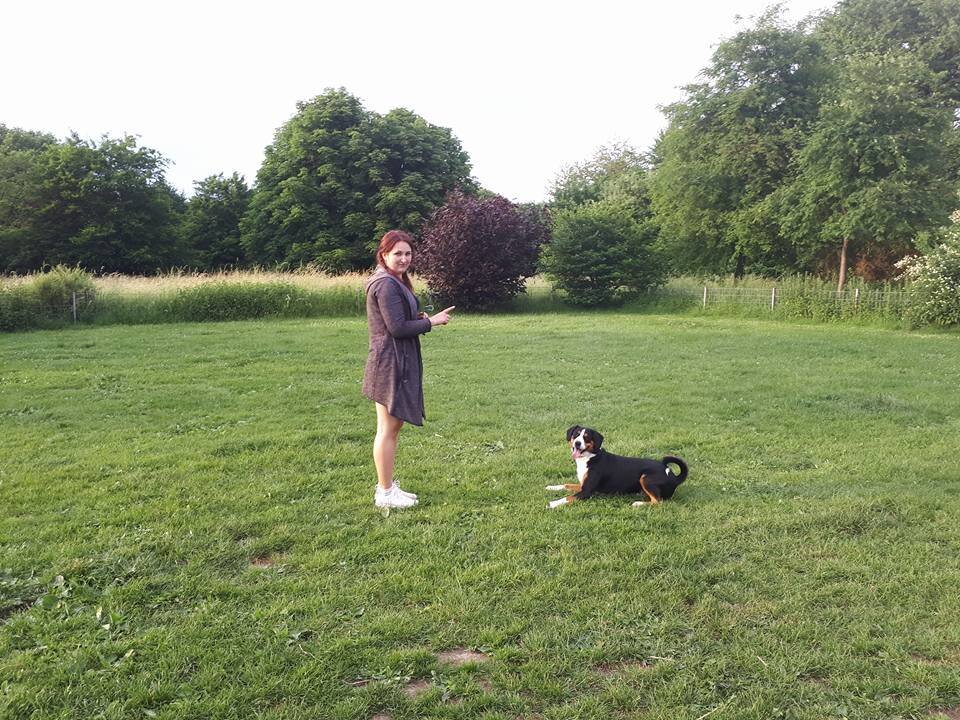 Bilder Hundezentrum Lapki