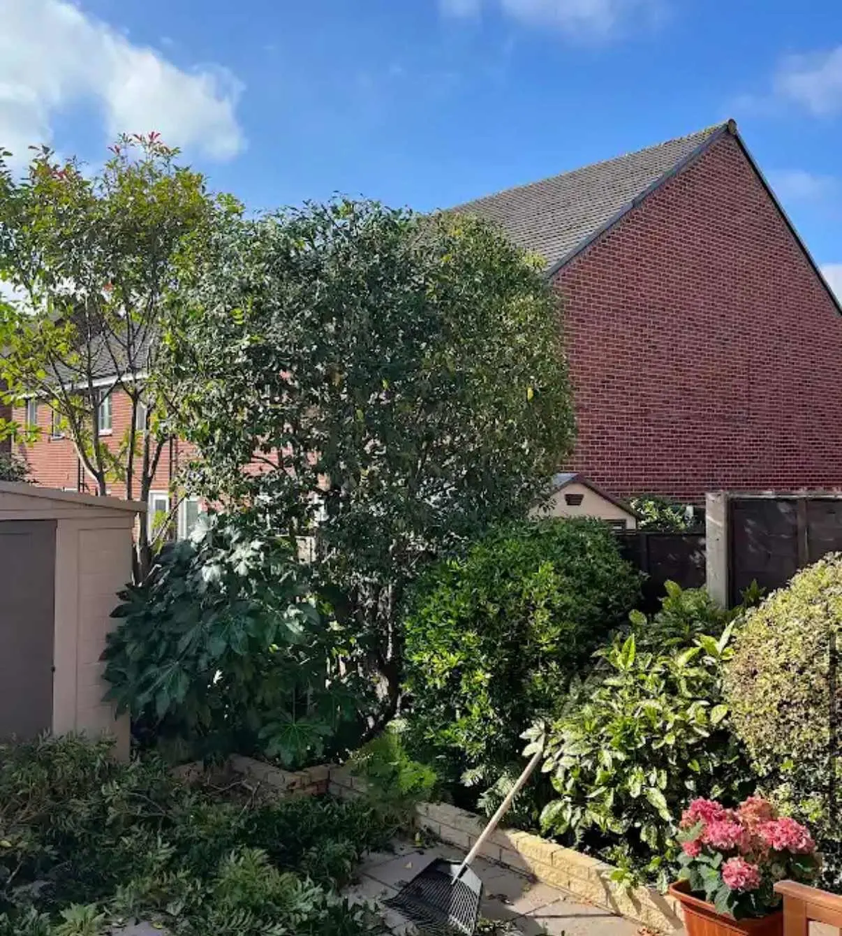 Images Tree Doctors & Landscaping