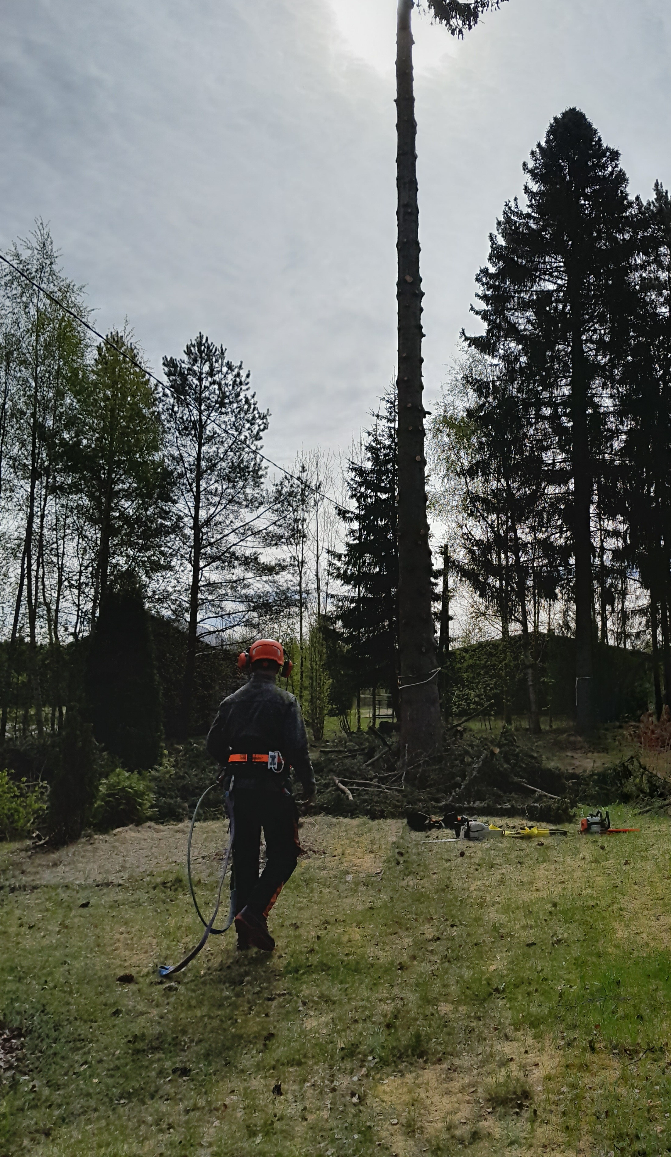 Images Tmi Monitoimi Pollari