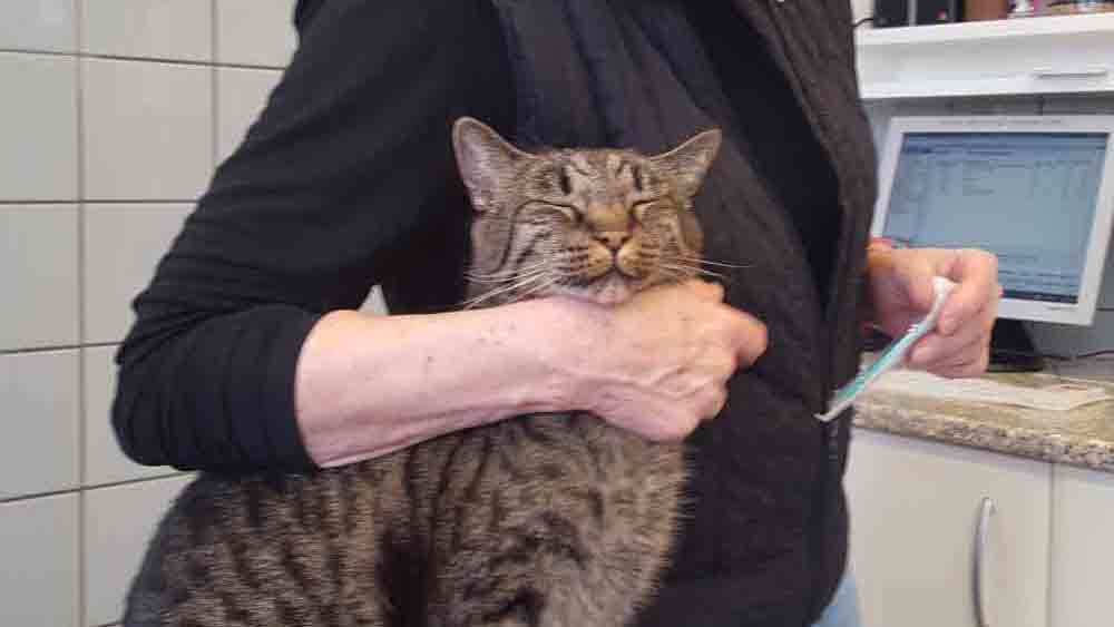 Images Store Heddinge Dyrehospital