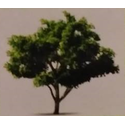 TTS Landscape & Tree Management Services