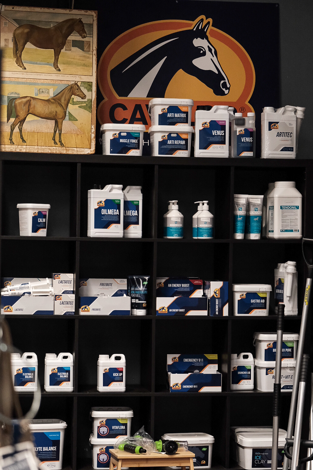 Images Boutique Riders' Corner