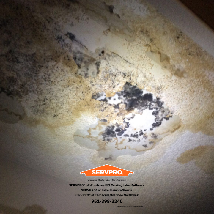 Images SERVPRO of Temecula