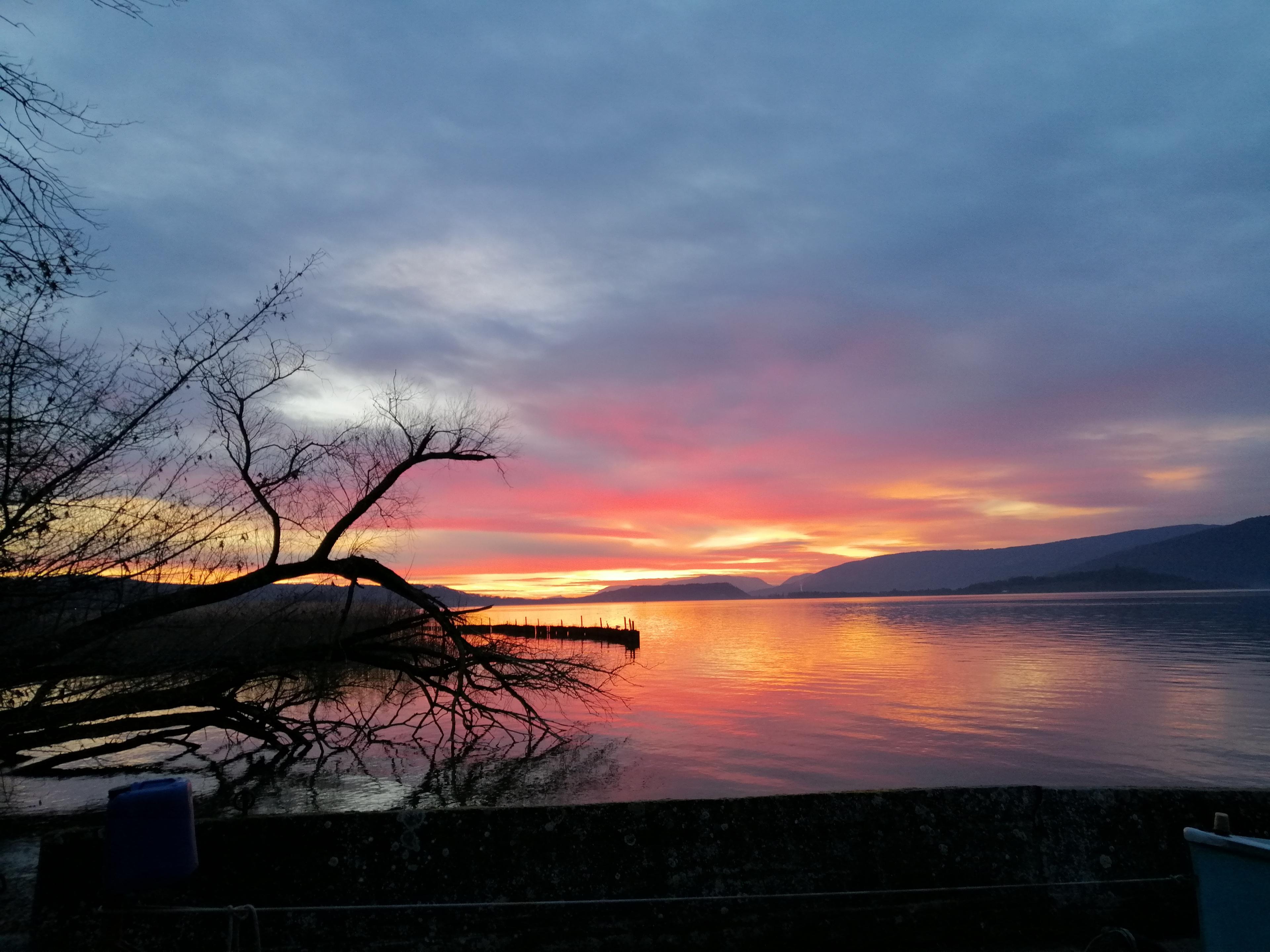 Fischerei Dasen, Seerain 17 in Gerolfingen