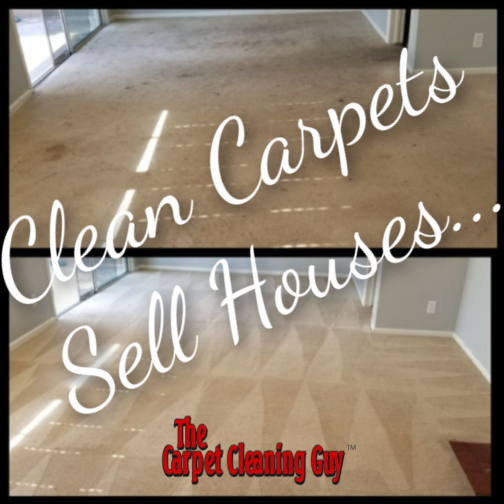 Images The Carpet Cleaning Guy