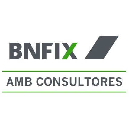 Bnfix Amb Consultores Logo