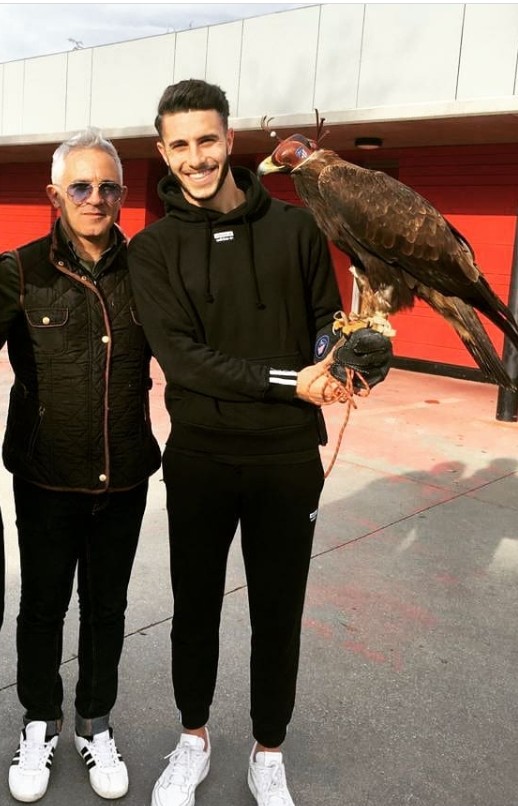 Images Bird Control Falcon S.L.