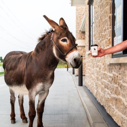 Pedro's Coffee Shop Image