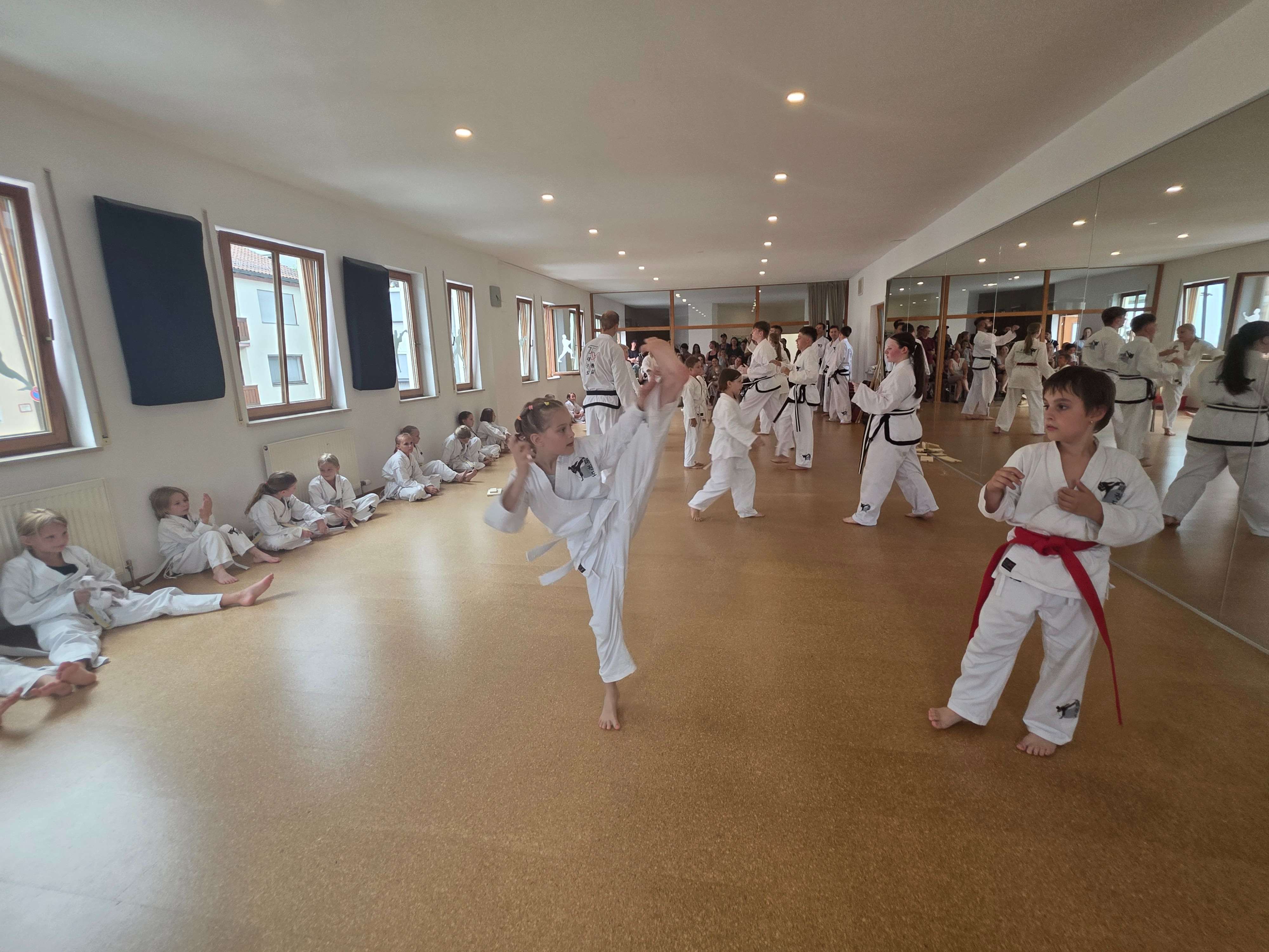 Taekwondo Peter Ivenz - Aichach, Prieferstraße 42 in Aichach