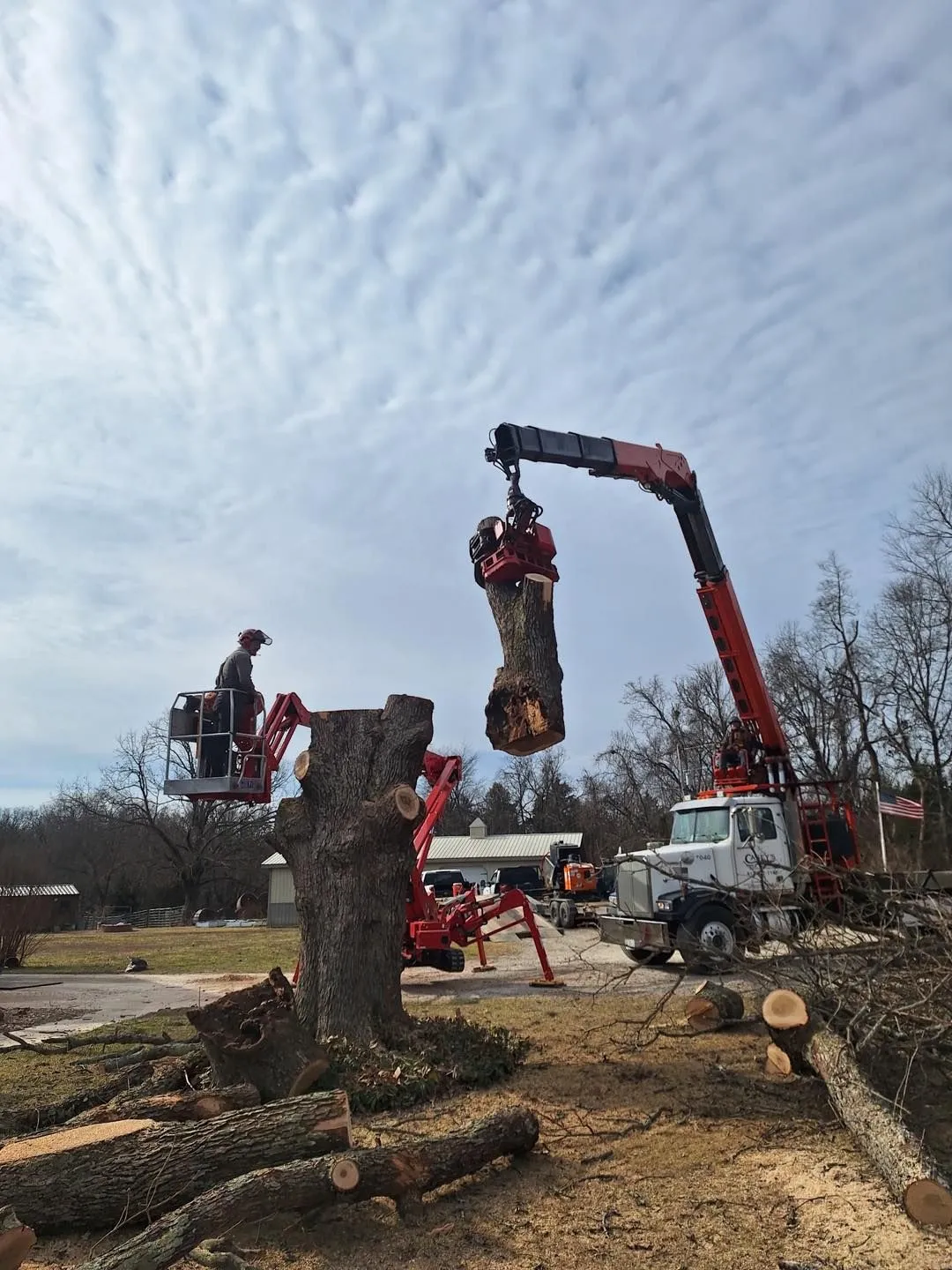 Casey's Tree Service LLC Image