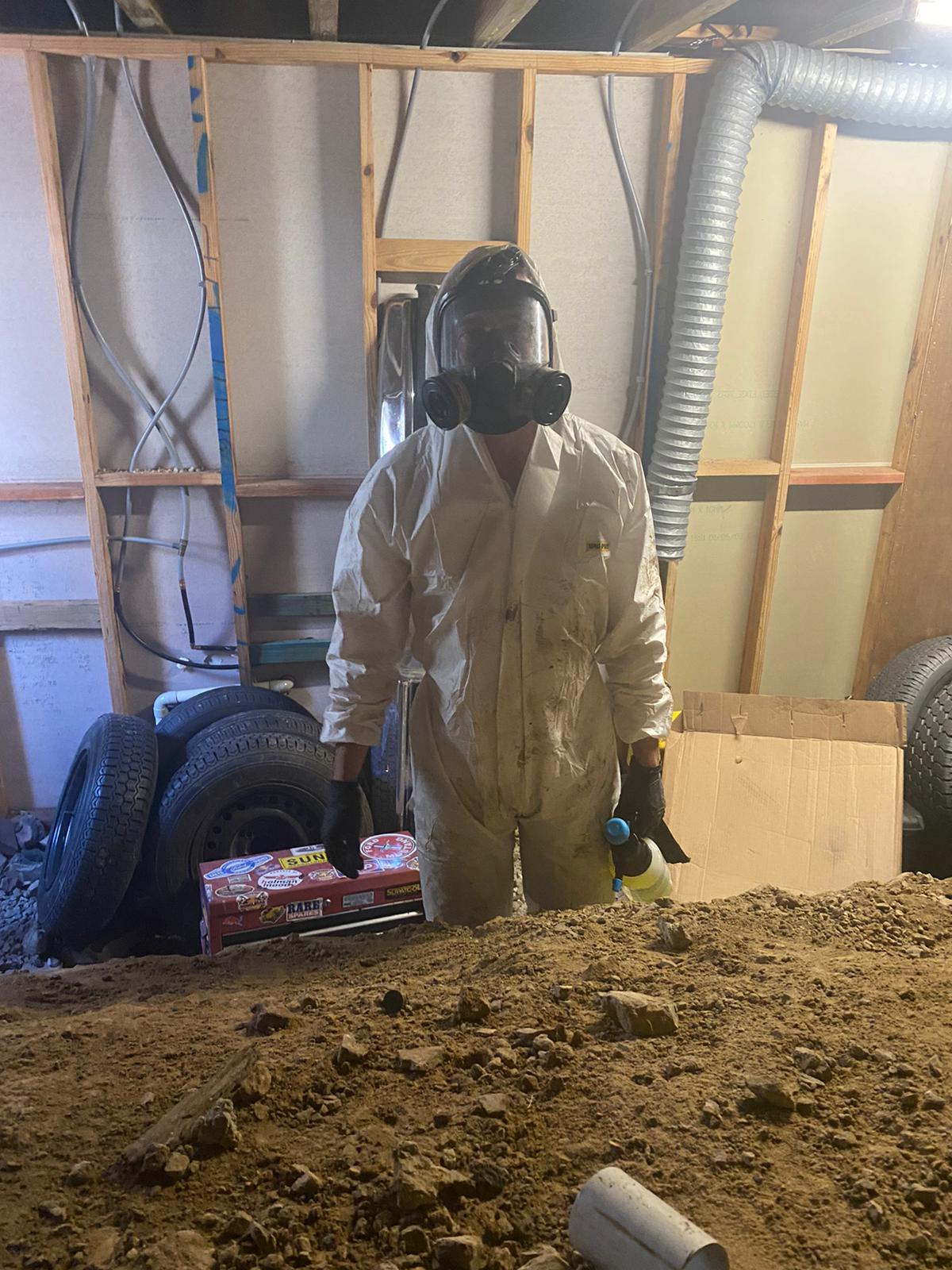 Images MouldMen - Mould Gone