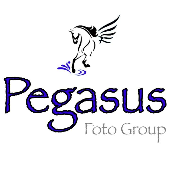 Pegasus Foto Group, LLC Logo