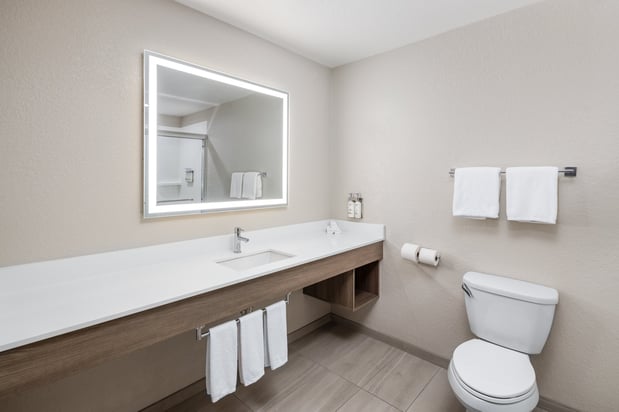 Images Holiday Inn Express & Suites Green Bay East by IHG