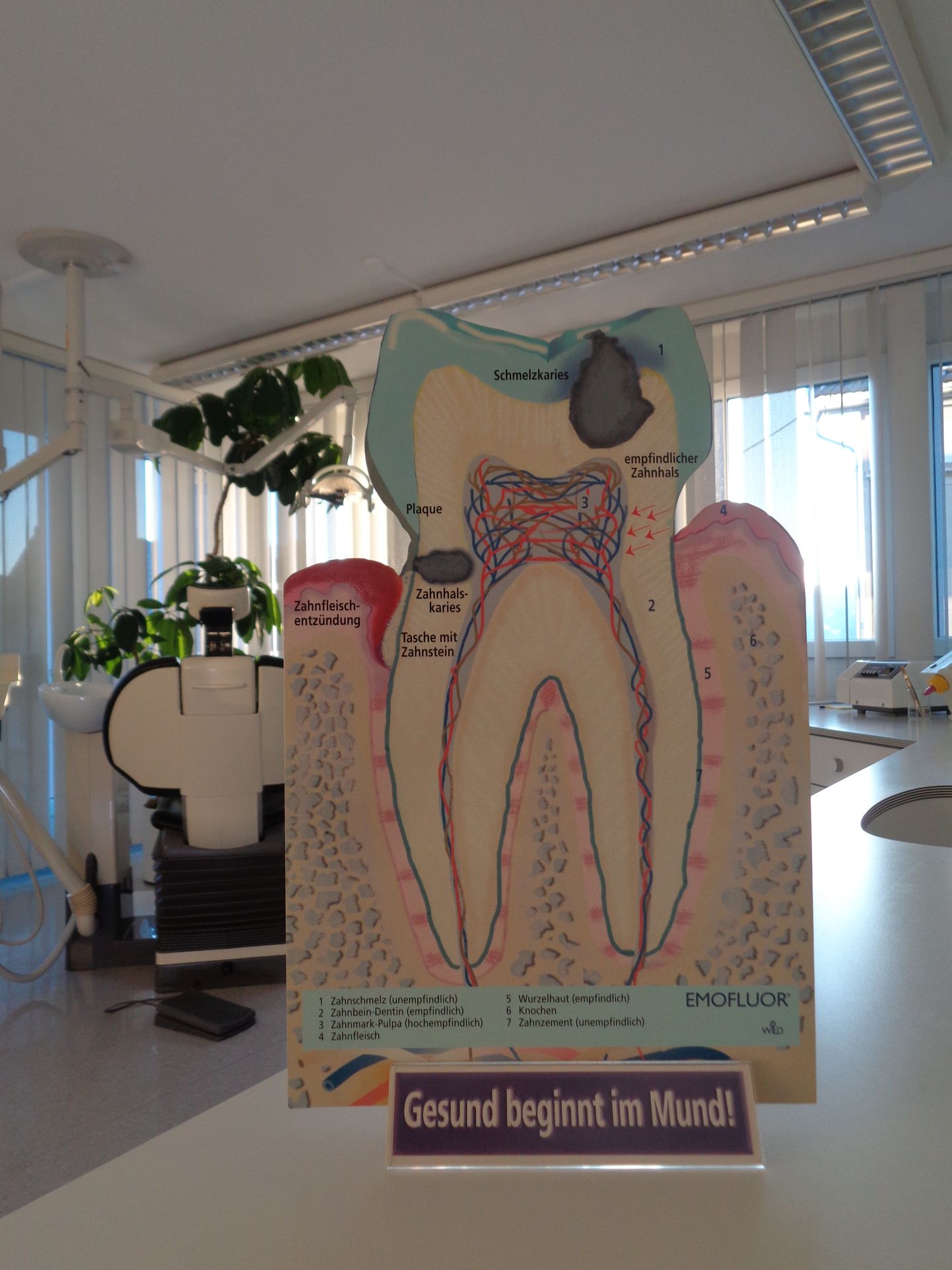 Zahnarztpraxis med. dent. Andreas Loboda, Alte Bahnhofstrasse 3 in Herisau