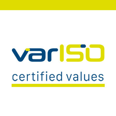 varISO GmbH in Mainz - Logo