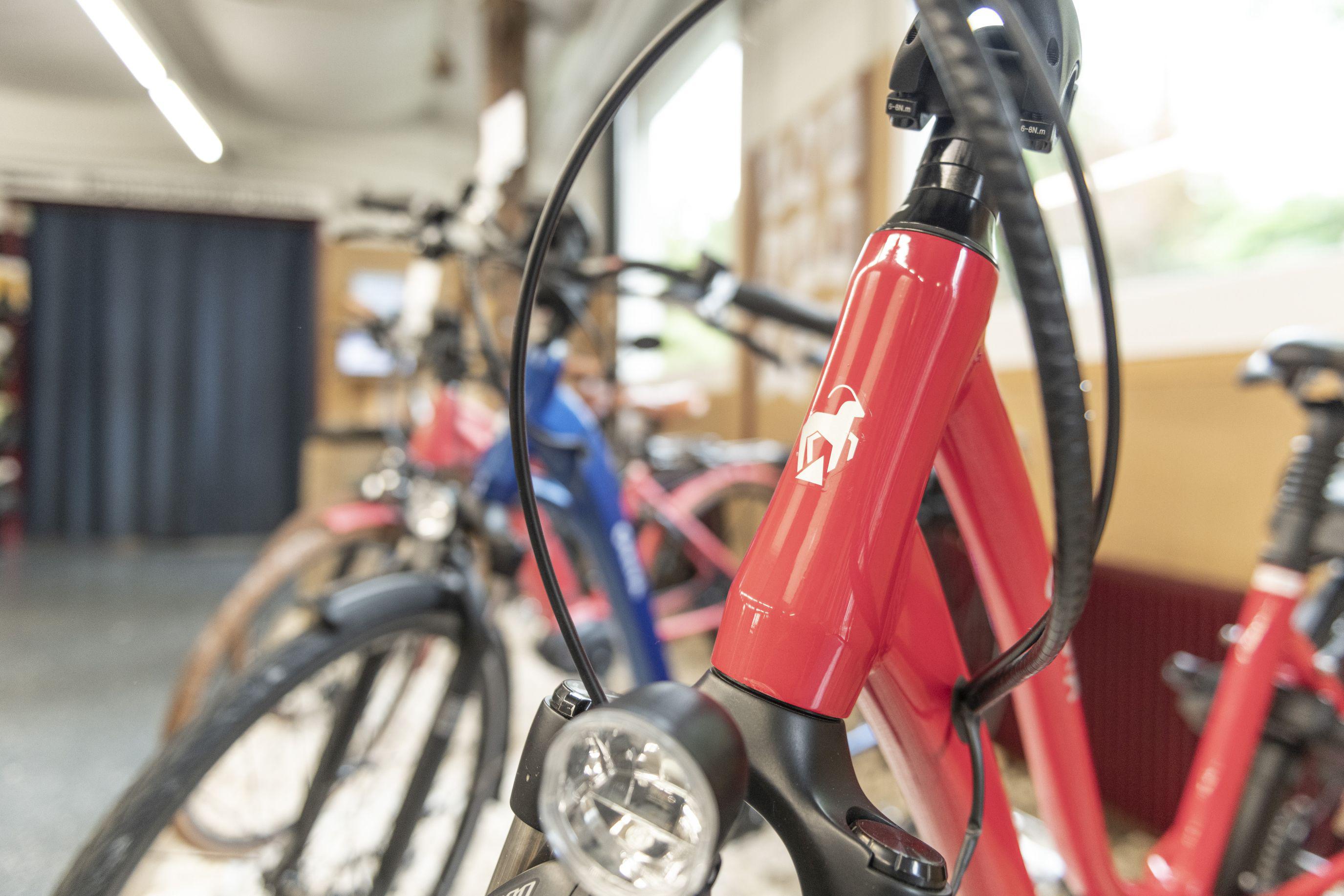 VELO RAPP GmbH, Wangenstrasse 44 in Herzogenbuchsee