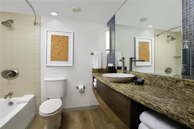 Images Hilton Palacio del Rio