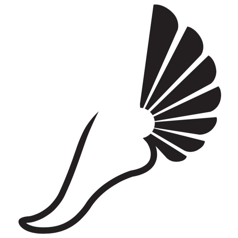 Hanna Ankle and Foot Logo