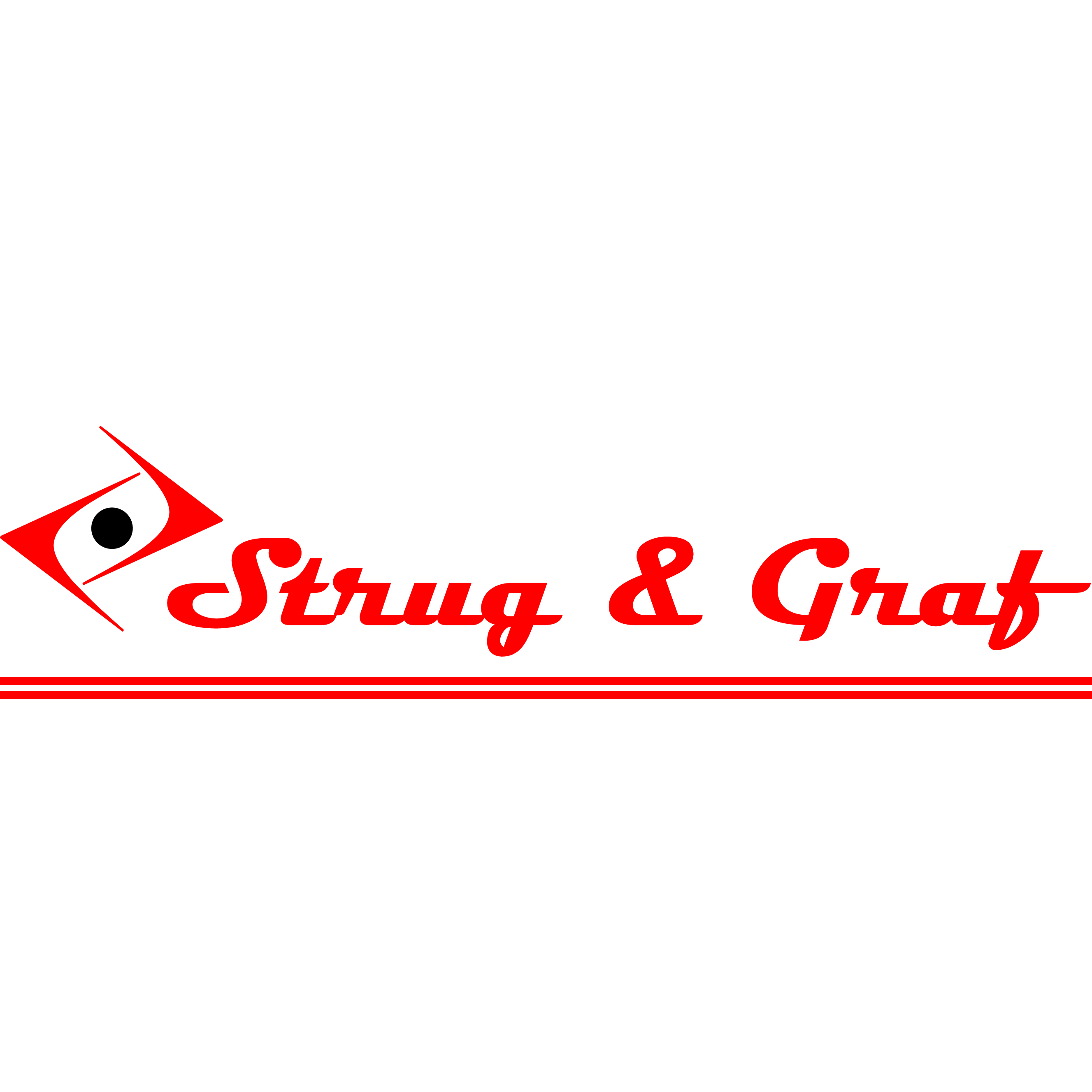 Strug & Graf GmbH Logo