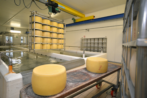 Images Latteria Sociale del Fornacione