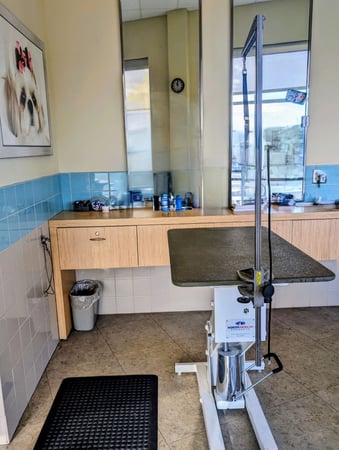 Images Petco Grooming