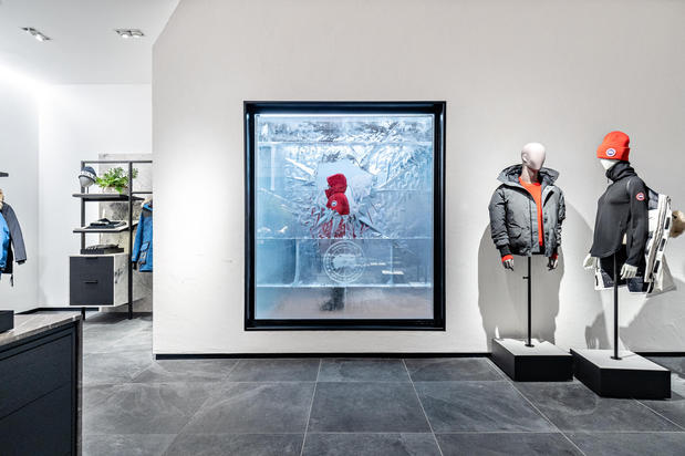 Images Canada Goose Minnesota