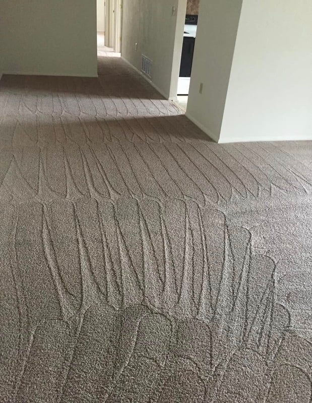Images HD Carpet Restoration & Home Care Specialist