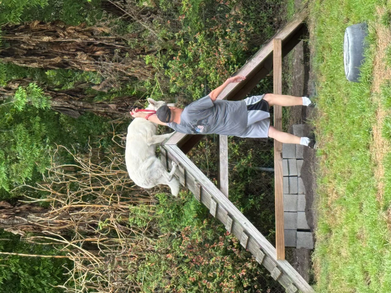 Russell's K9 Academy Image