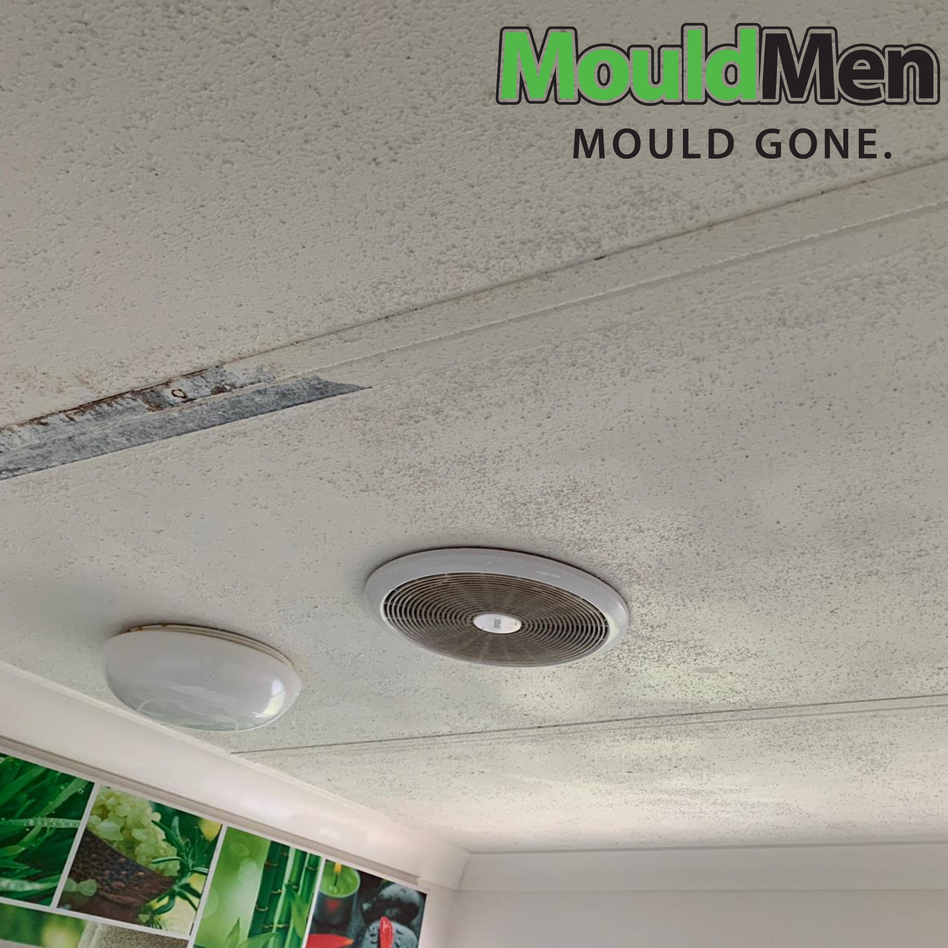 Images MouldMen - Mould Gone