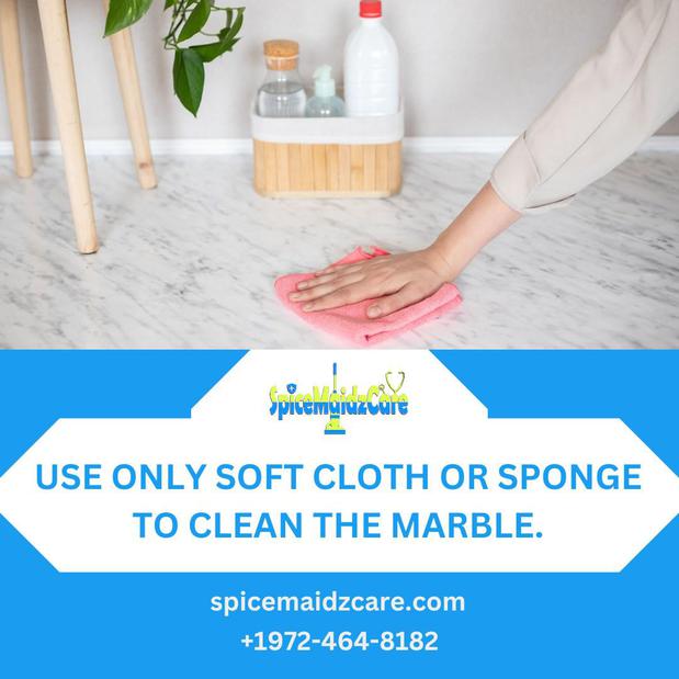 Images SpiceMaidzCare