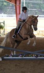 Images Star Ridge Stables