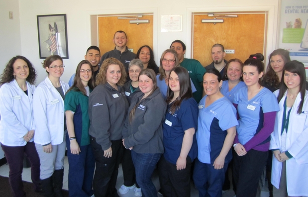Images VCA Iselin Animal Hospital
