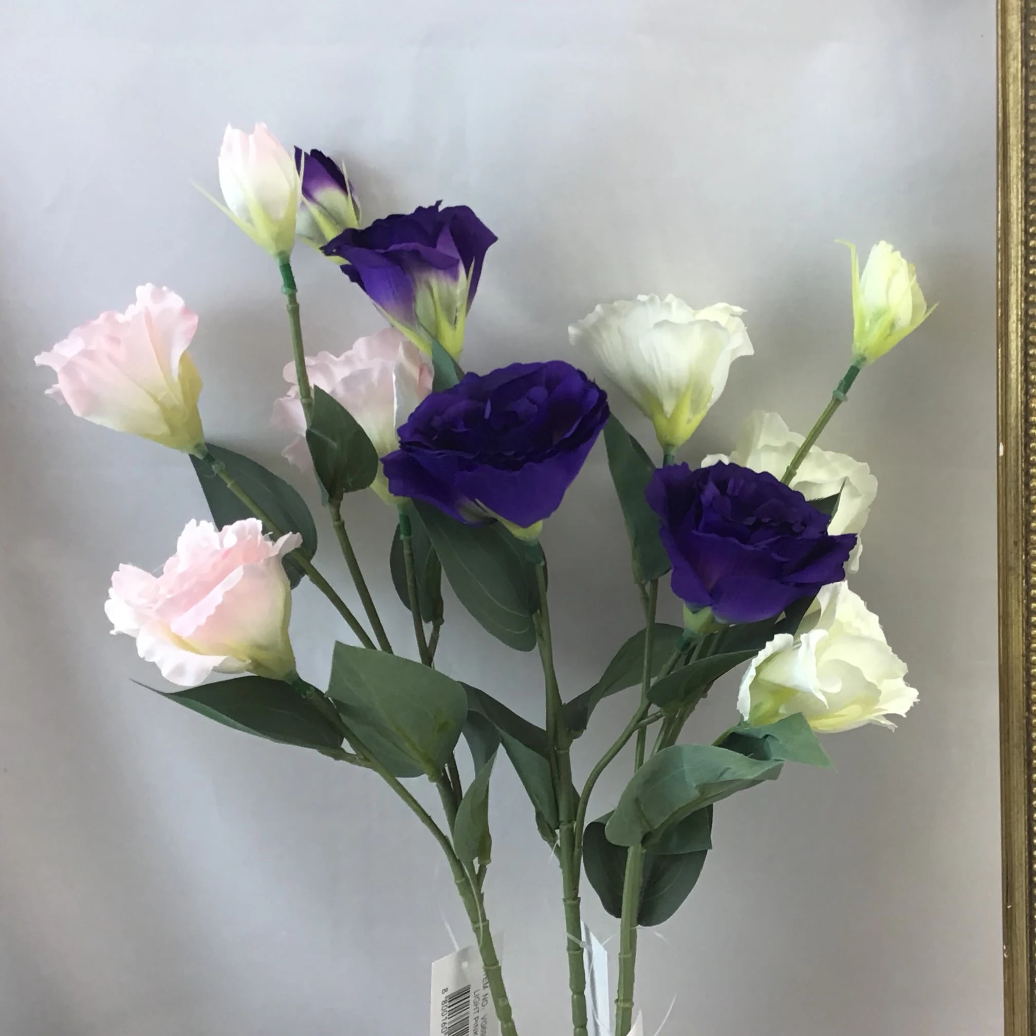 Images Village Green Wholesale Ltd