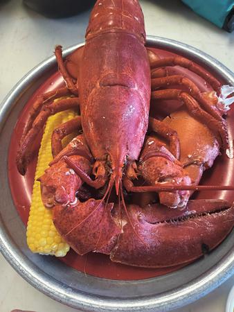 Images Lobster Haven