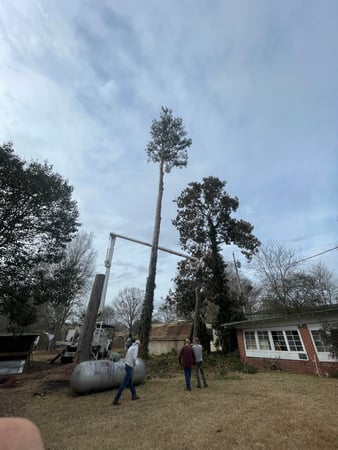 Images Broken Branch Tree Service LLC