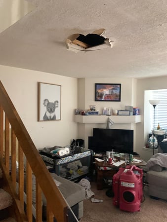 Images Rex Environmental